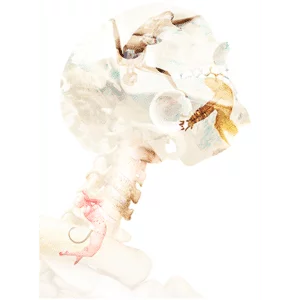 Boutique de magie en ligne - Magic Effect 1 Ghost Card par Fraser Parker