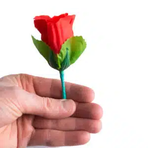 MIMI PRIX - EN STOCK 86 Apparition d'une rose de nulle part