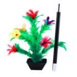 Apparition d'une fleur d'un pot