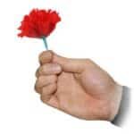 Streichholz zu Rose - Zaubertrick