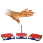 Vous ne pouvez pas le faire - Version classique