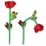 La rose cassée