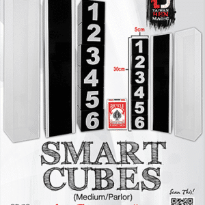 Smart Cubes par Taiwan Ben