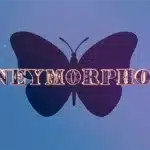 Moneymorphosis by Dallas Fueston and Jason Bird
