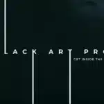 Black Art Project (2 DVD Set) by SansMinds