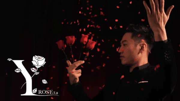 Y-Rose 2.0 par Mr Y et Bond Lee