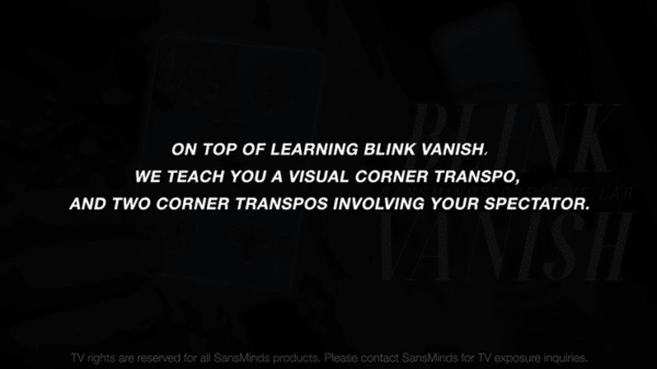 Blink vanish par SansMinds05