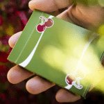 Cherry casino sahara - Jeu de cartes vert