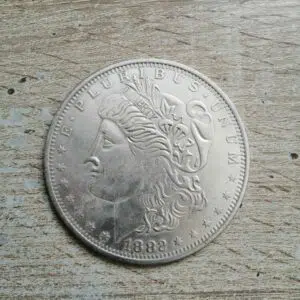 Morgan dollar jumbo - Silver