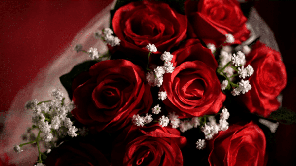 Le Bouquet Rouge par Bond Lee et MS Magic03