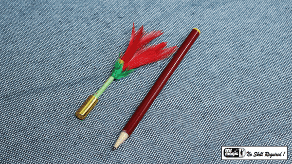 Le crayon en fleur par Mr. Magic