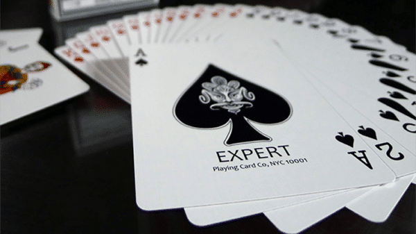 Superior Brand Readers Jeu de cartes par Expert Playing Card Co Classic Back06