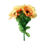 Incredibile girasole spaccato di Premium Magic