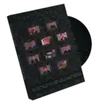 MS Magic Night 2014 Presented von Yoann