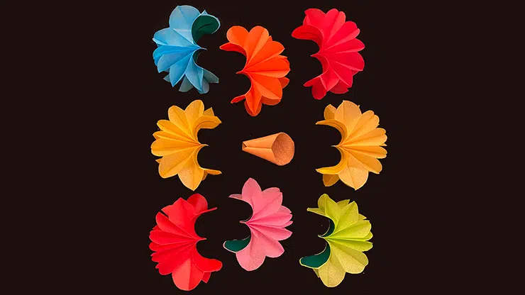 Deluxe Spring Flowers par Alan Wong – Image 2