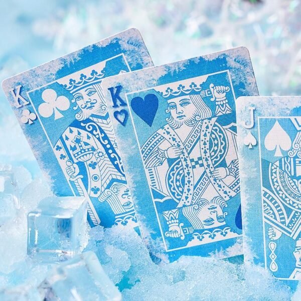 Solokid frozen Jeu de cartes Bocopo0304