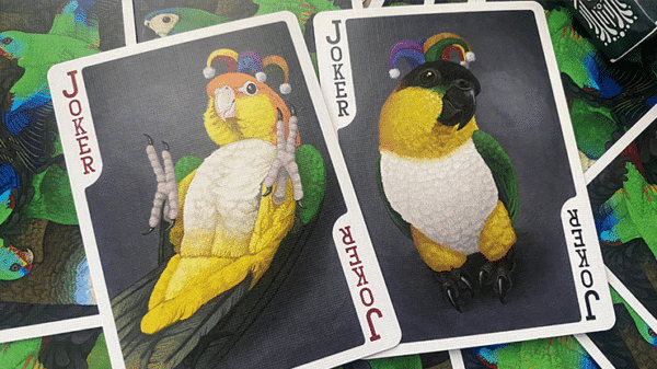 Parrot prototype Jeu de cartes 03