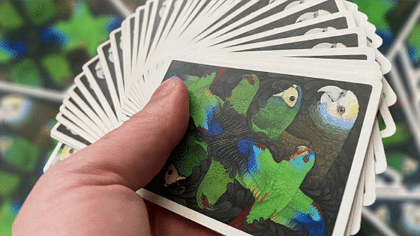 Parrot prototype Jeu de cartes02