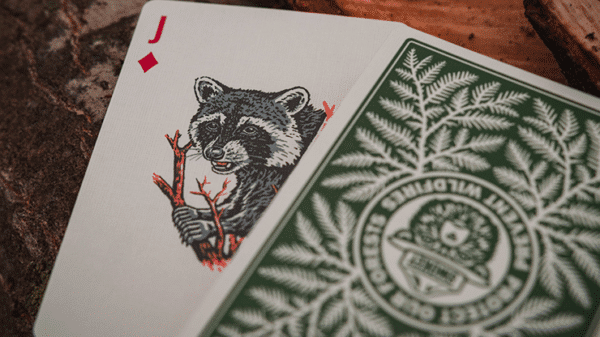 Smokey bear Jeu de cartes par Art of Play04