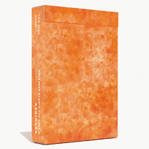 The sandwich series - Kartenspiel