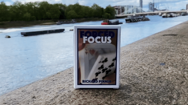 Forced focus par Richard Pinner