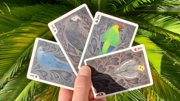 Parrot Extinct Jeu de cartes Bicycle03