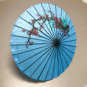 Parasol dragon par LY et MS Magic