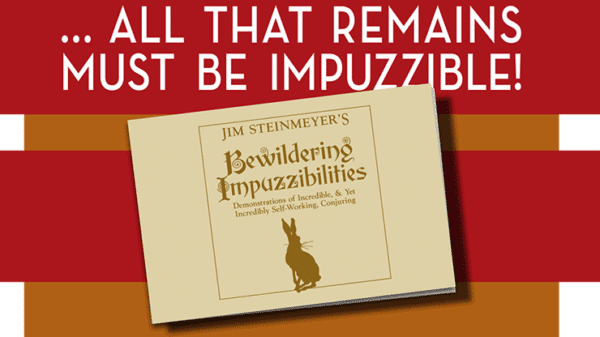 Bewildering Impuzzibilities par Jim Steinmeyer