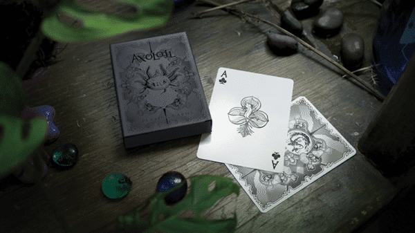 Axolotl Jeu de cartes par Enigma Cards02
