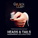 HEADS & TAILS PREDICTION par Mickael Chatelain