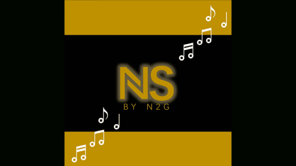 NS SOUND DEVICE avec telecommande par N2G