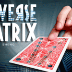 REVERSE MATRIX par Chiam Yu Sheng