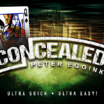 CONCEALED di Peter Eggink