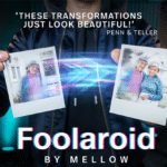 FOOLAROID - Lovestory Edition par Mellow