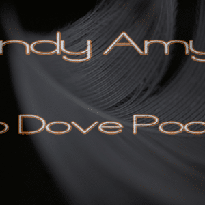 Pro Dove Pocket Poids lourd par Andy Amyx