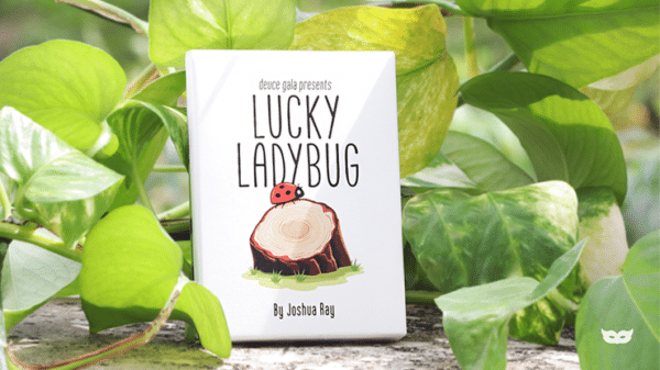 Lucky Ladybug par Joshua Ray Deuce Gala Magic06