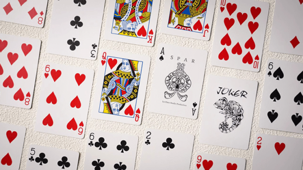 SPAR Standard Jeux de cartes par Luchen Coffret05
