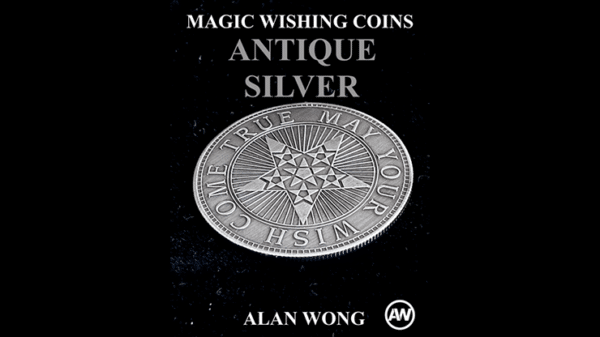 Magic Wishing Coins par Alan Wong 12 pieces antique silver