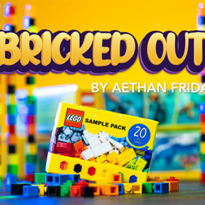 Bricked Out par Aethan Friday