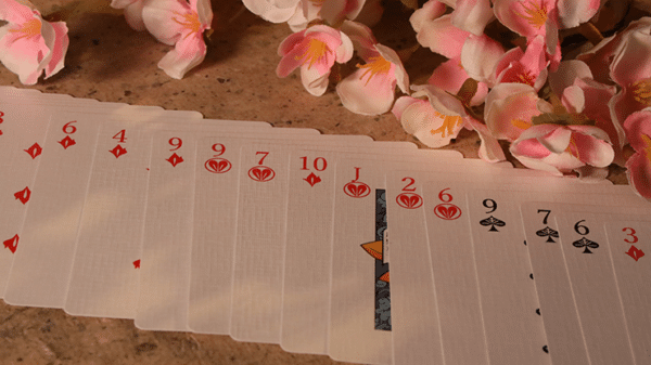 Hyakki Yagyo Jeux de cartes par Bloom Playing Cards010