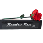 Rainbow Rose par JL Magic