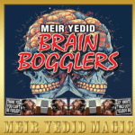 Brain Bogglers von Meir Yedid