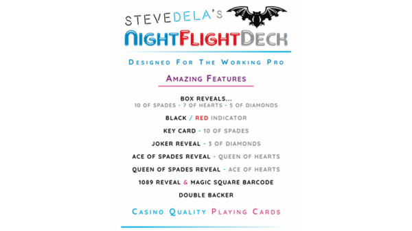 Night Flight par Steve Dela Edition pro04