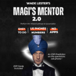The Magi's Mentor par Erick Olson