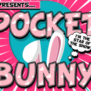 Pocket Bunny par Lee Alex