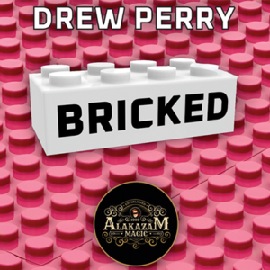 Bricked par Drew Perry