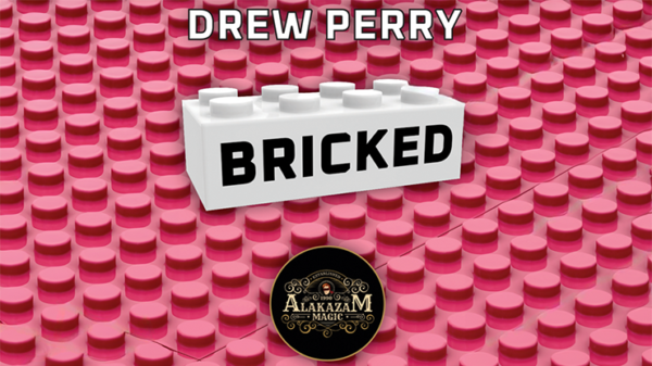 Bricked par Drew Perry