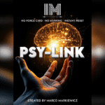 PSY-LINK von Marco Markiewicz