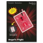 Angel's Flight par Andrew & Ednei Ernesto