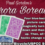 Aurora Borealis par Paul Gordon